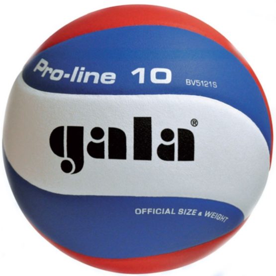 Волейбольный мяч профессиональный Gala PRO-LINE BV5121S