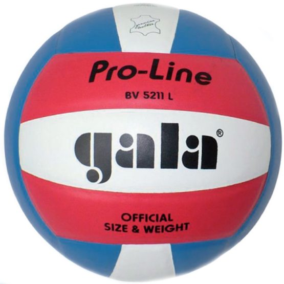 Волейбольный мяч профессиональный Gala PRO-LINE BV5211L