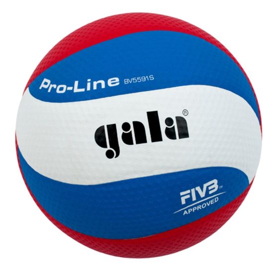 Волейбольный мяч профессиональный Gala PRO-LINE BV5591S